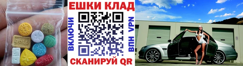 ЭКСТАЗИ Philipp Plein  Сочи 