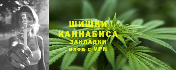 mdpv Вяземский