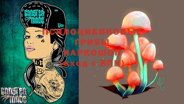 герыч Горнозаводск