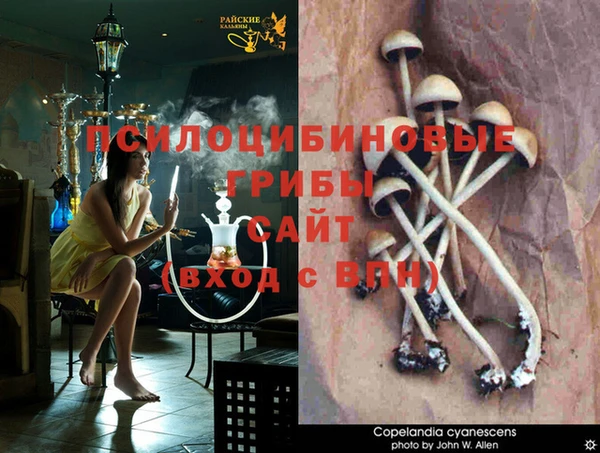 mdpv Вяземский