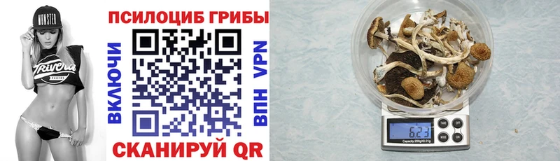 Псилоцибиновые грибы Psilocybe  Сочи 